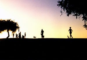 sunset_joggers
